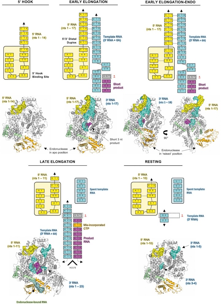 Figure 6.