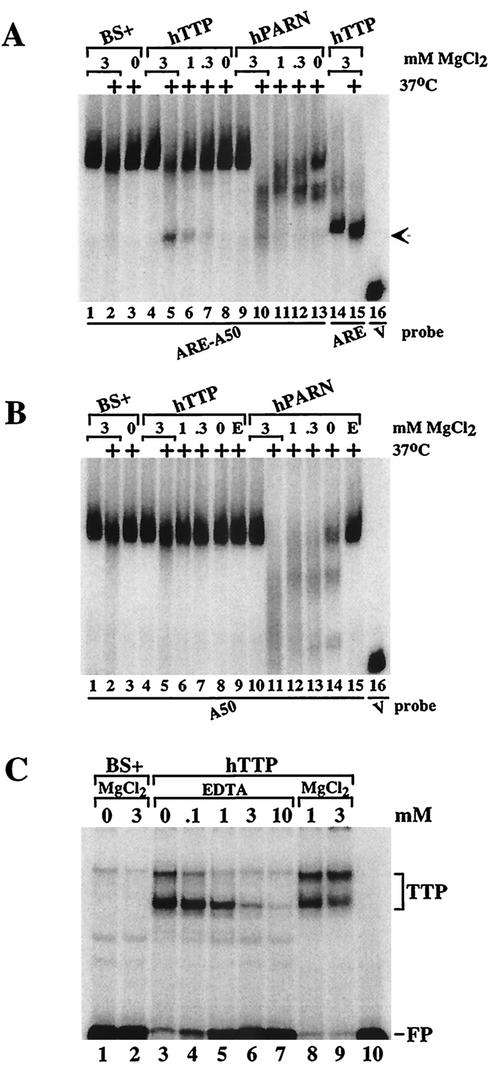 FIG. 5.