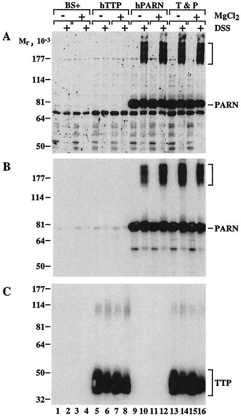 FIG. 8.