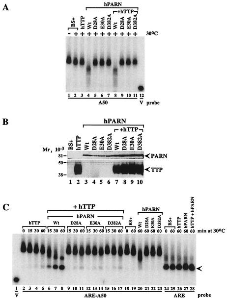 FIG. 9.