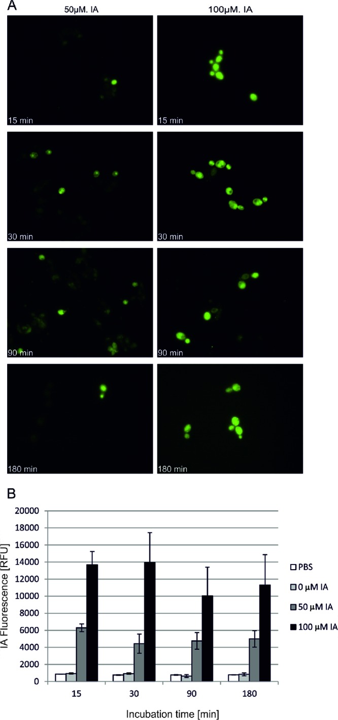 Fig 5