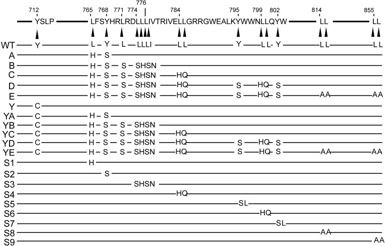 Fig. S1.