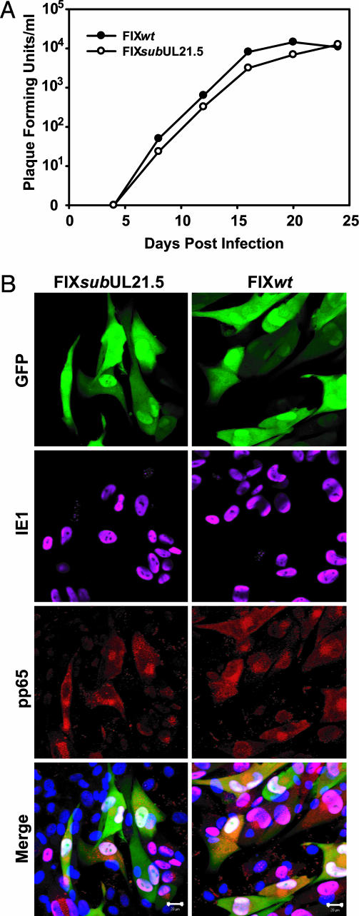 Fig. 2.