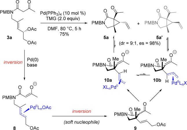 Scheme 3