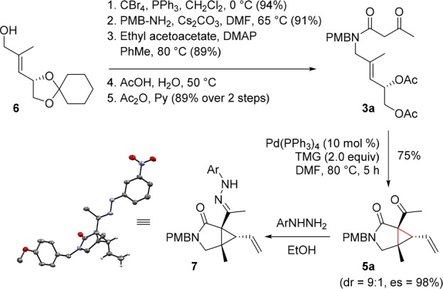 Scheme 2