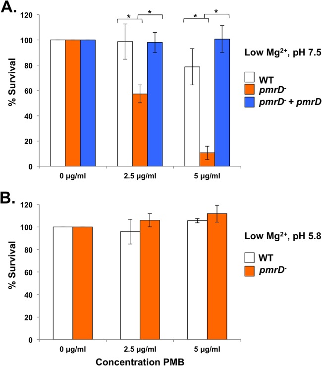 FIG 6