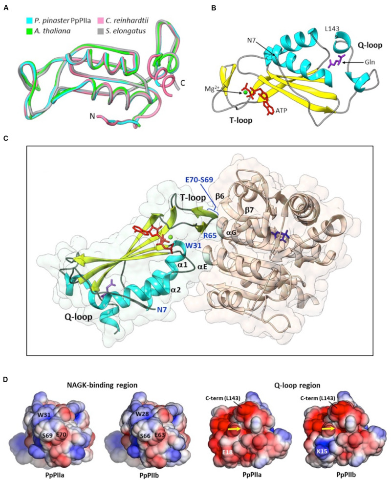 FIGURE 3