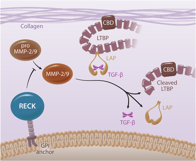 Fig. 4: