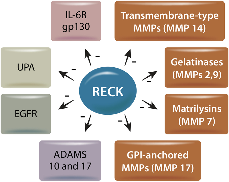 Fig. 7: