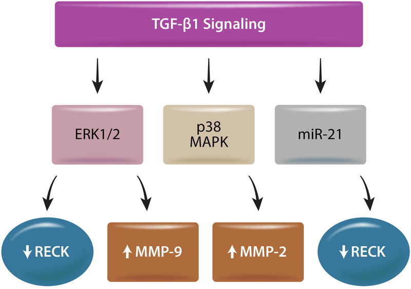 Fig. 3: