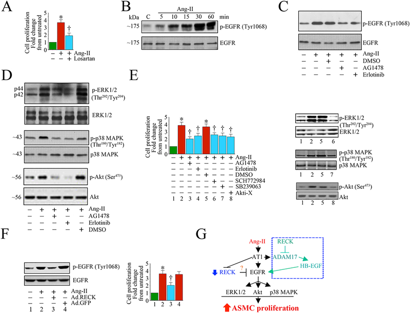 Fig. 6: