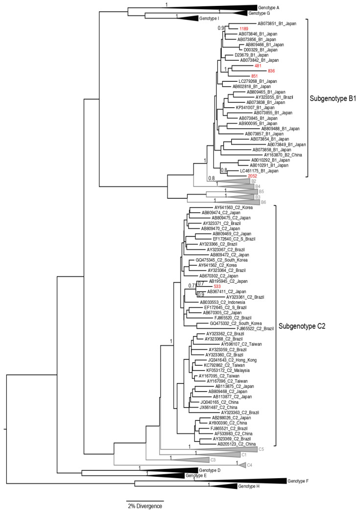 Figure 2