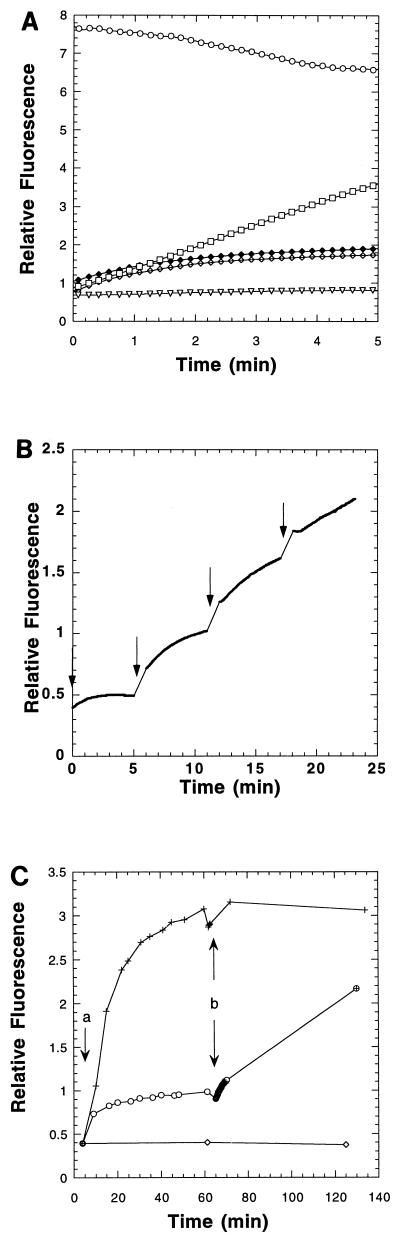 FIG. 7