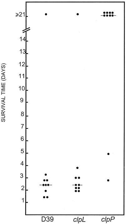 FIG. 8.