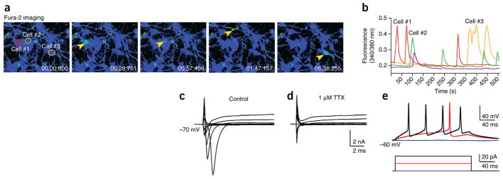 Figure 4