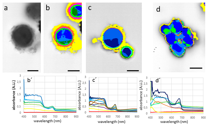 Fig. 4