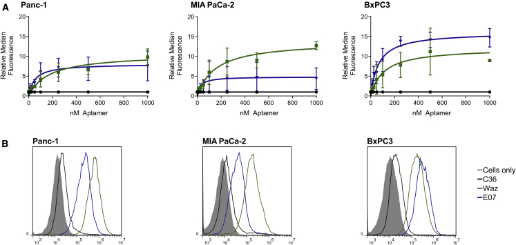 Figure 2