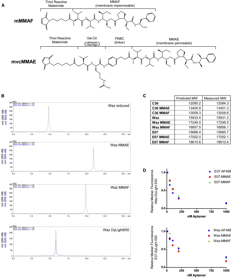 Figure 3