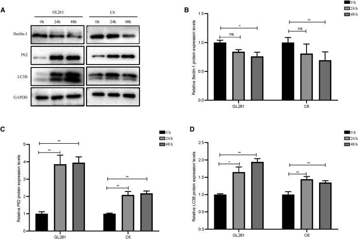 Figure 7