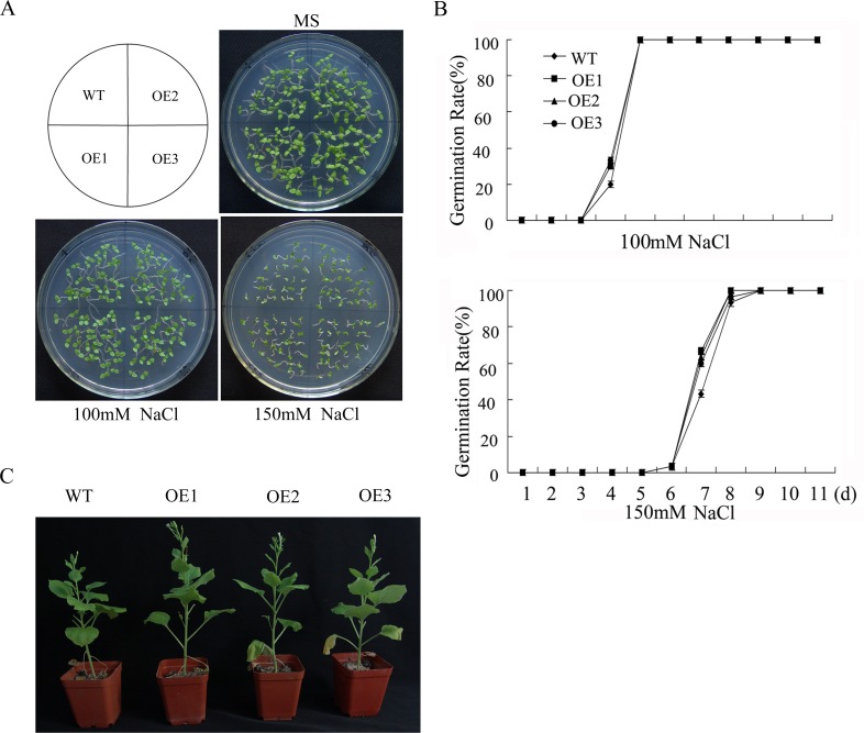 Fig 6