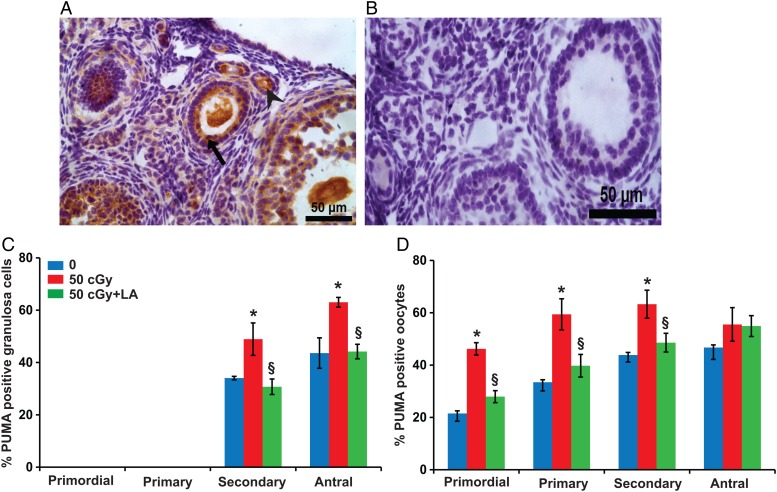 Figure 7