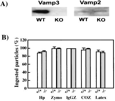 FIG. 7