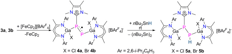 Scheme 3