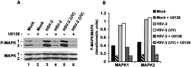 FIG. 10.