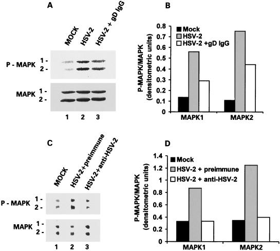 FIG. 13.