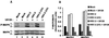 FIG. 10.