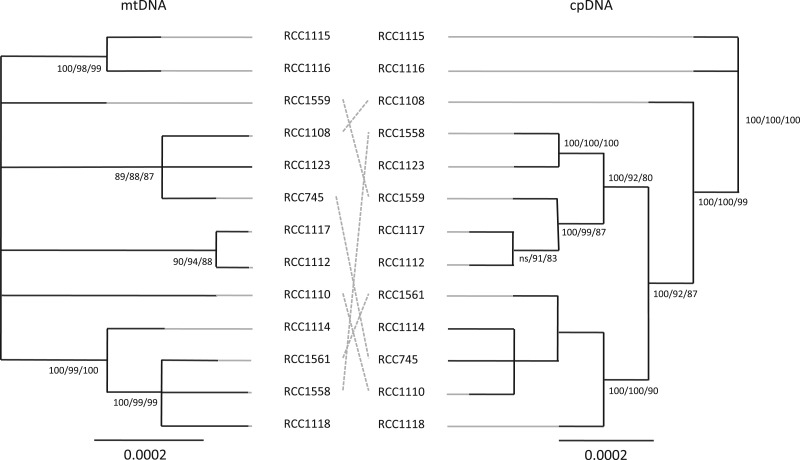 Fig. 4.—