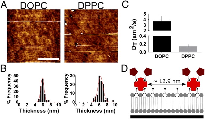 Fig. 2.