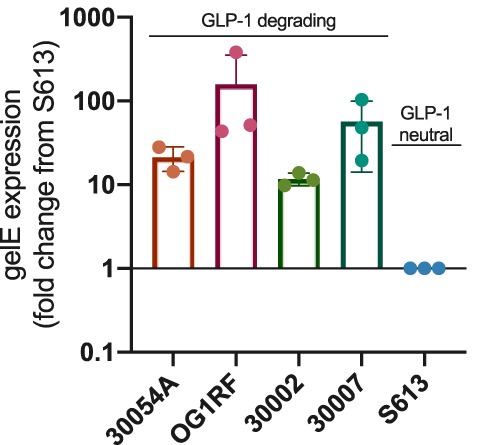 FIG 3