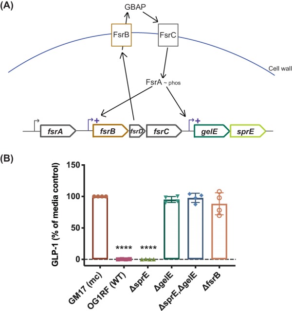 FIG 2