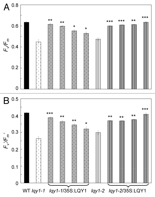 Figure 3.