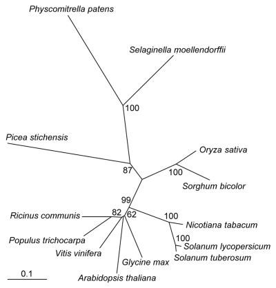 Figure 4.