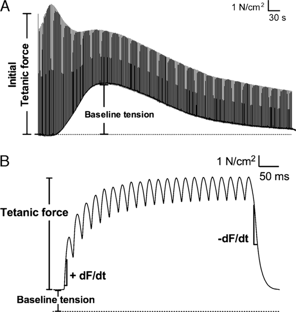 FIGURE 2 —