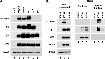 FIG. 7.