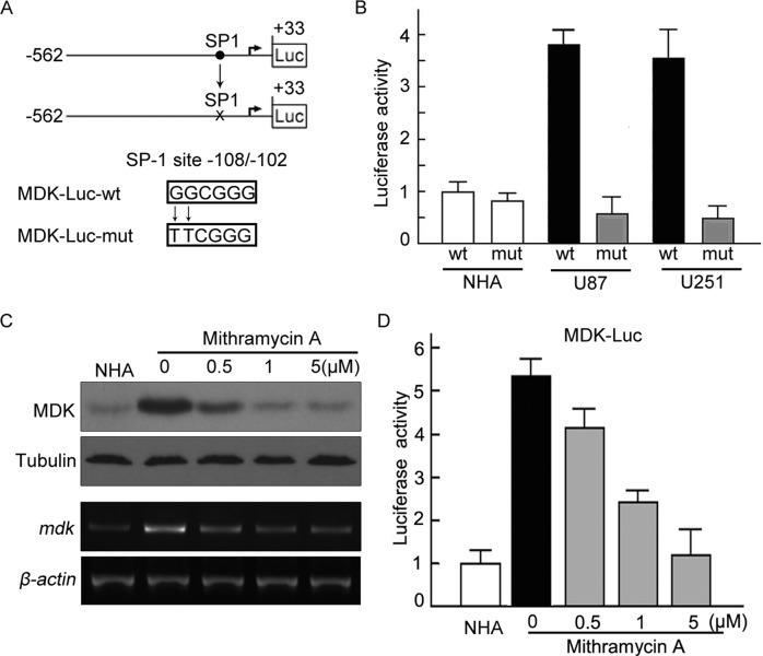 FIGURE 4: