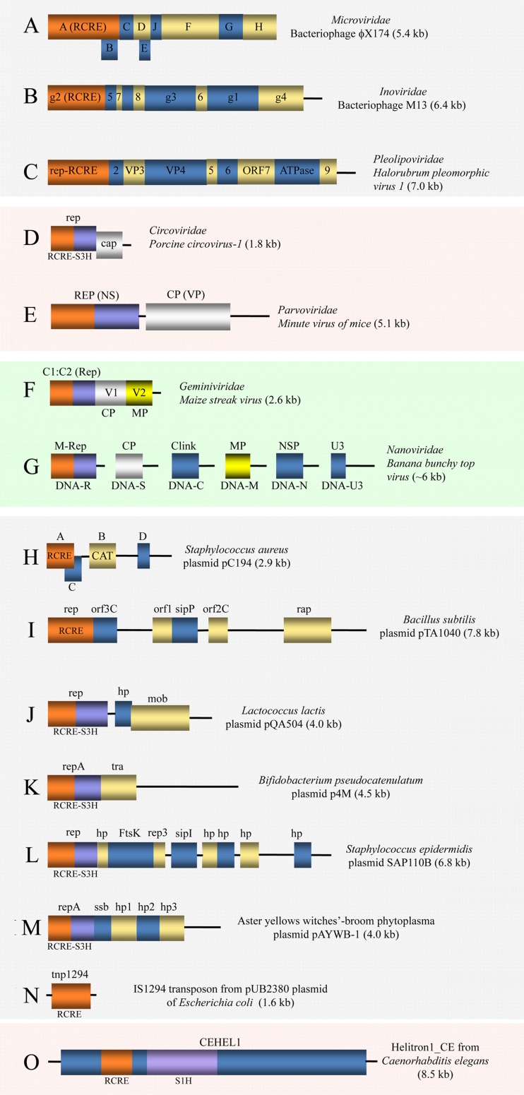 FIG 8