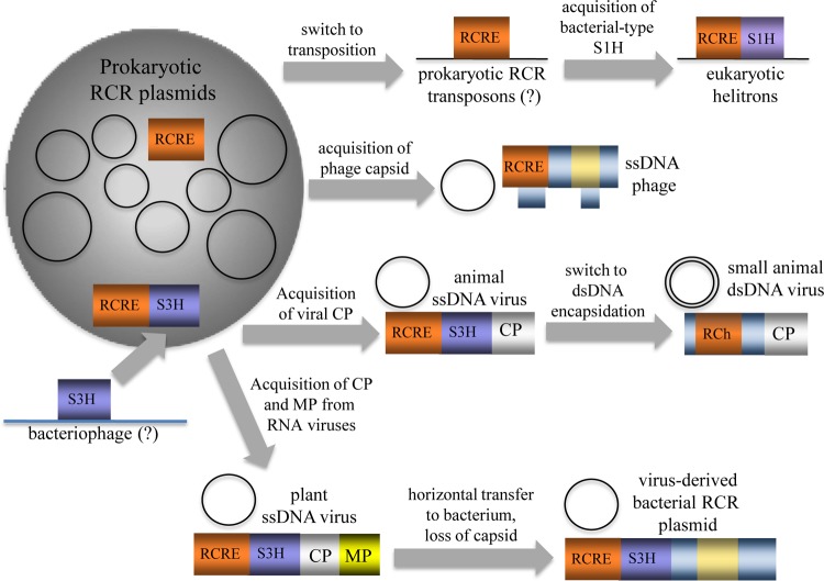 FIG 10