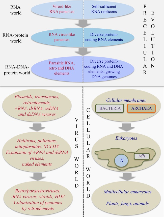 FIG 13