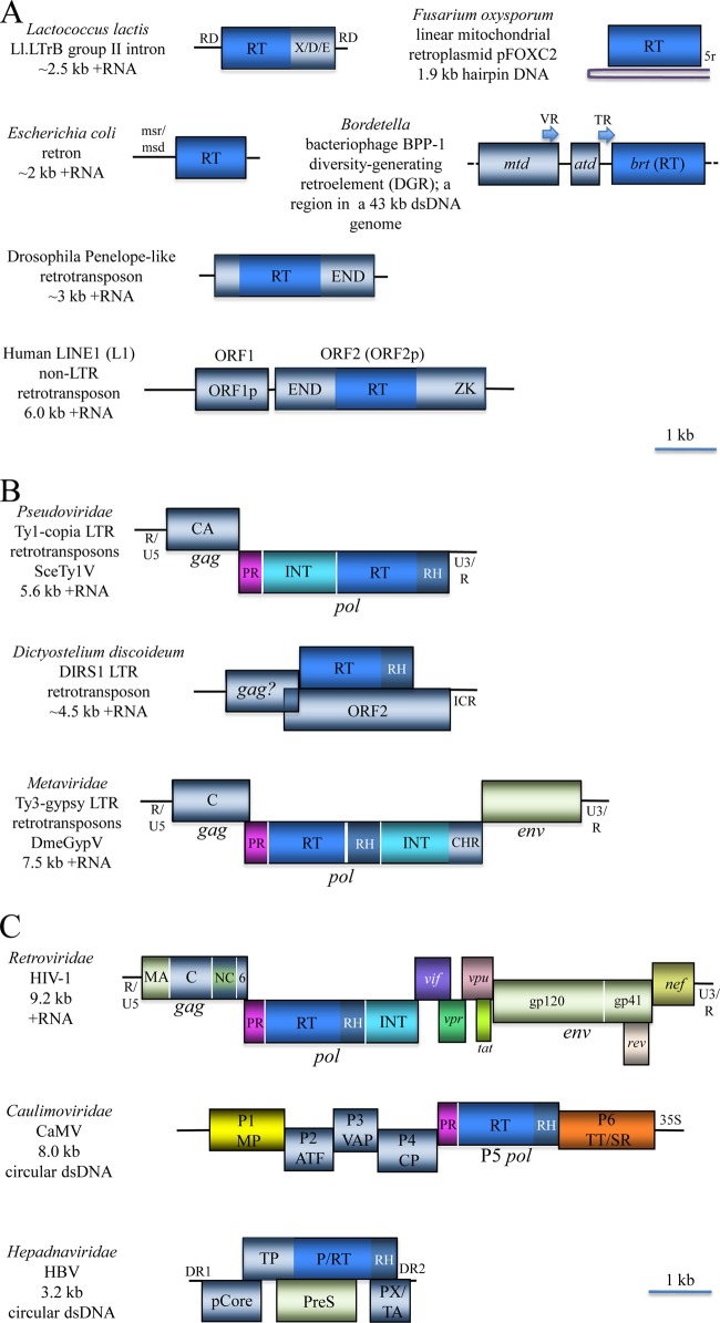 FIG 6