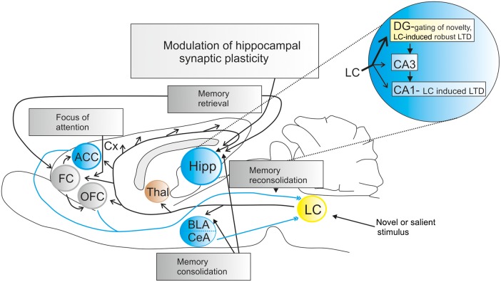 Figure 2.