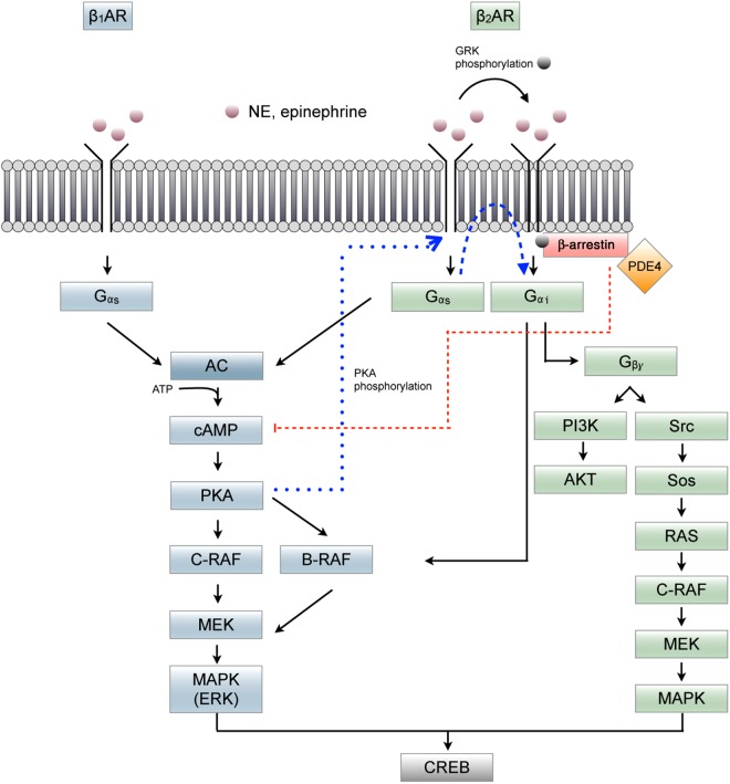 Figure 1.