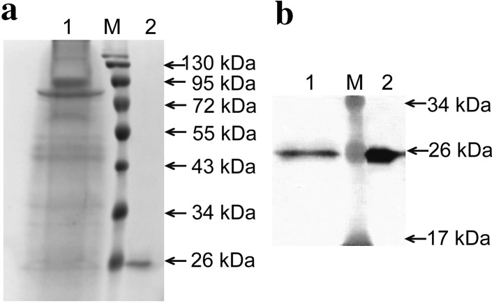 Fig. 5