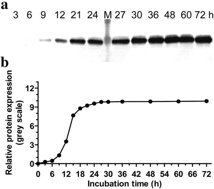 Fig. 2