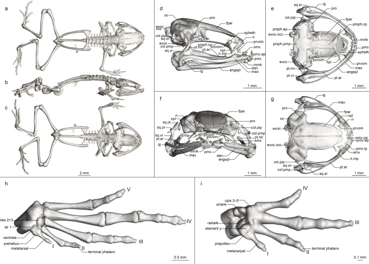 Fig 9