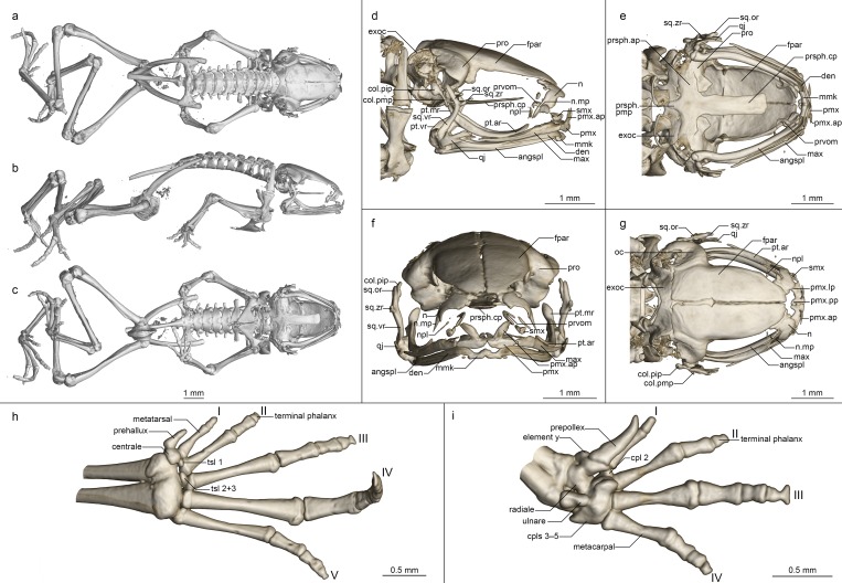 Fig 13