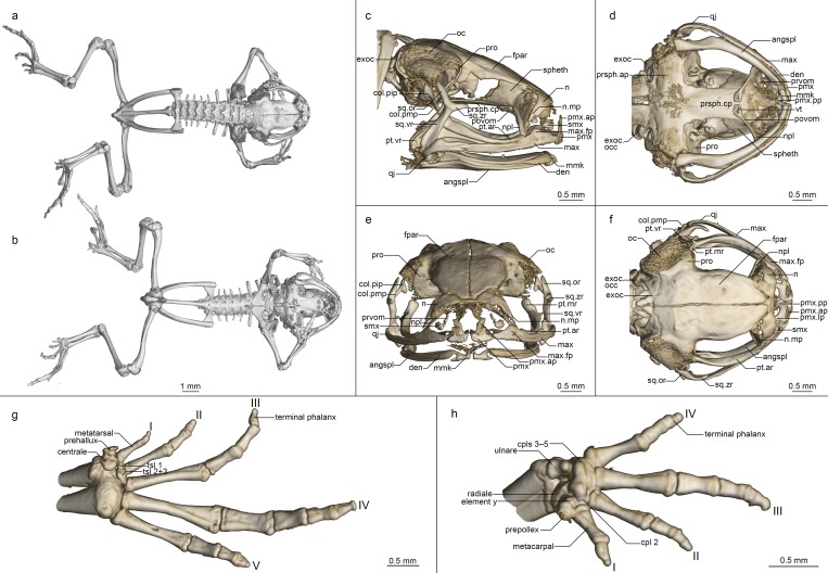 Fig 11